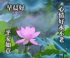 最火的早上好图片