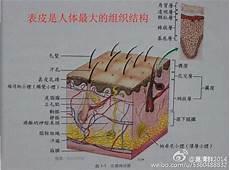 皮肤表层感觉有小虫爬