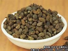 神农本草经残页