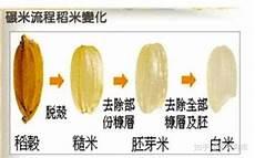 梗糯米是什么意思